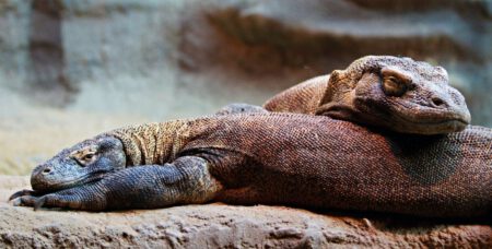 ZOO Praha - Bontour
