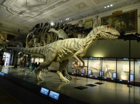 Přírodovědné muzeum Vídeň - Bontour