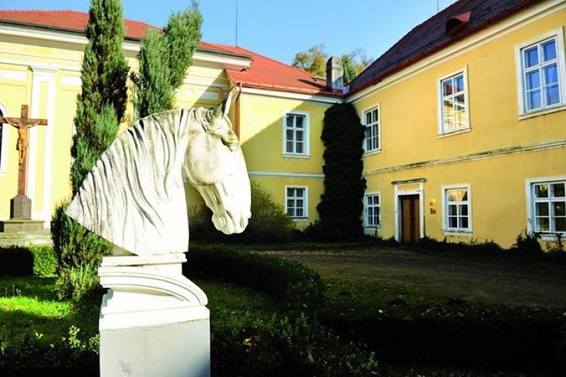 Kladruby - Bontour
