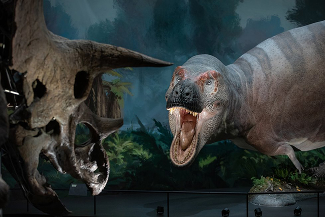 Dinosauria Museum Prague - Bontour