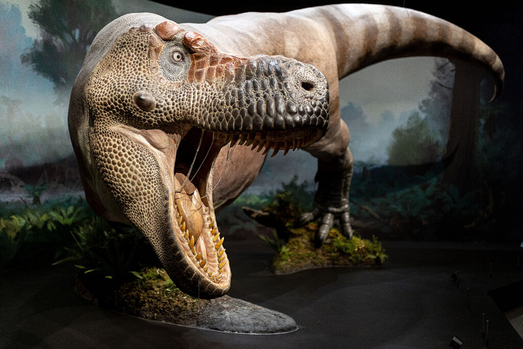 Dinosauria Museum Prague - Bontour