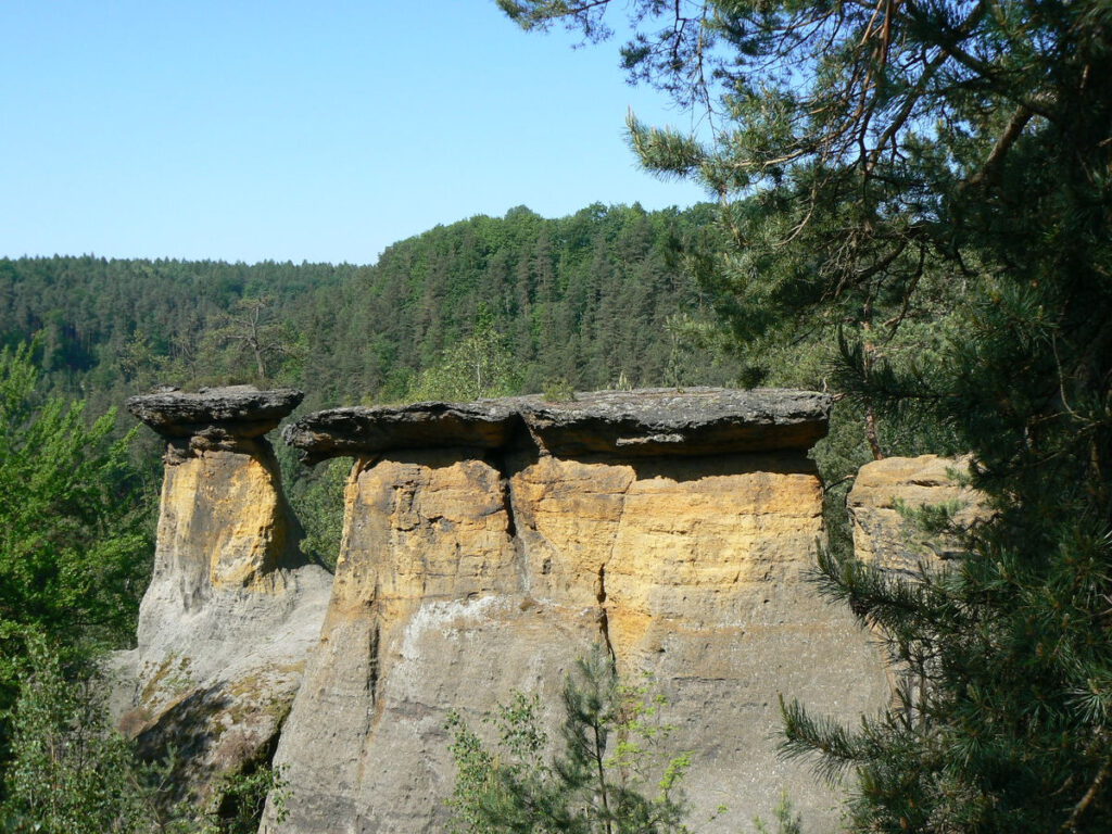 Pokličky – Bontour