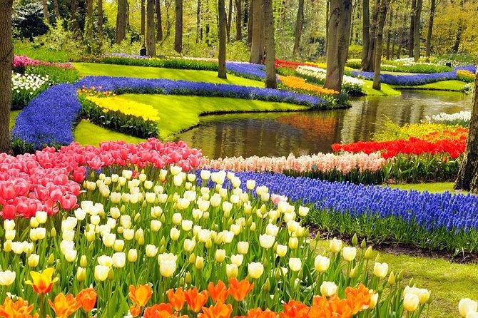 Keukenhof - Bontour