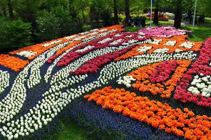 Keukenhof - Bontour